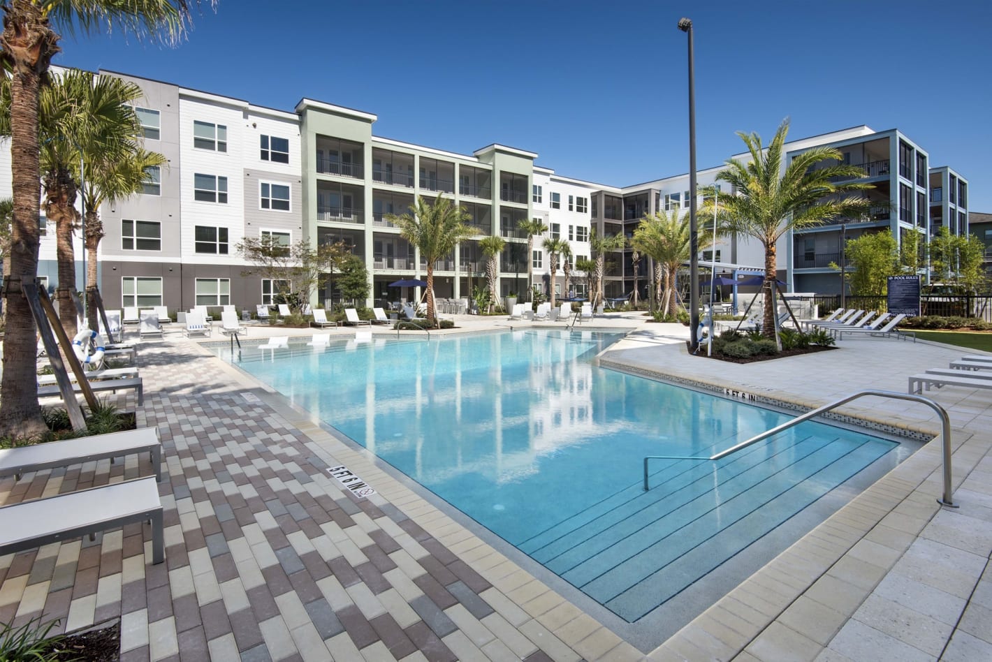 Photos and Video of Kestra in Orlando, FL